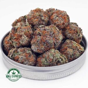 Buy Blueberry Jam AAA Online - MMJ Express