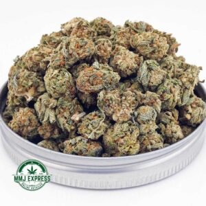Buy Cannabis Blue Venom AAAA (Popcorn) at MMJ Express Online Shop