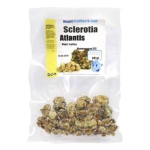 BUY Magic Truffles Atlantis Mushroom Online | Magic Truffles Atlantis For Sale | Online Trippy Shop