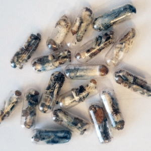 BUY Microdose Mushrooms Online | Microdosing mushrooms Reddit For Sale | Online Trippy Shop