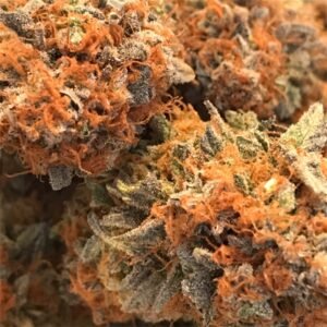 Cannatonic Marijuana Strain - Goodflowerdispensary