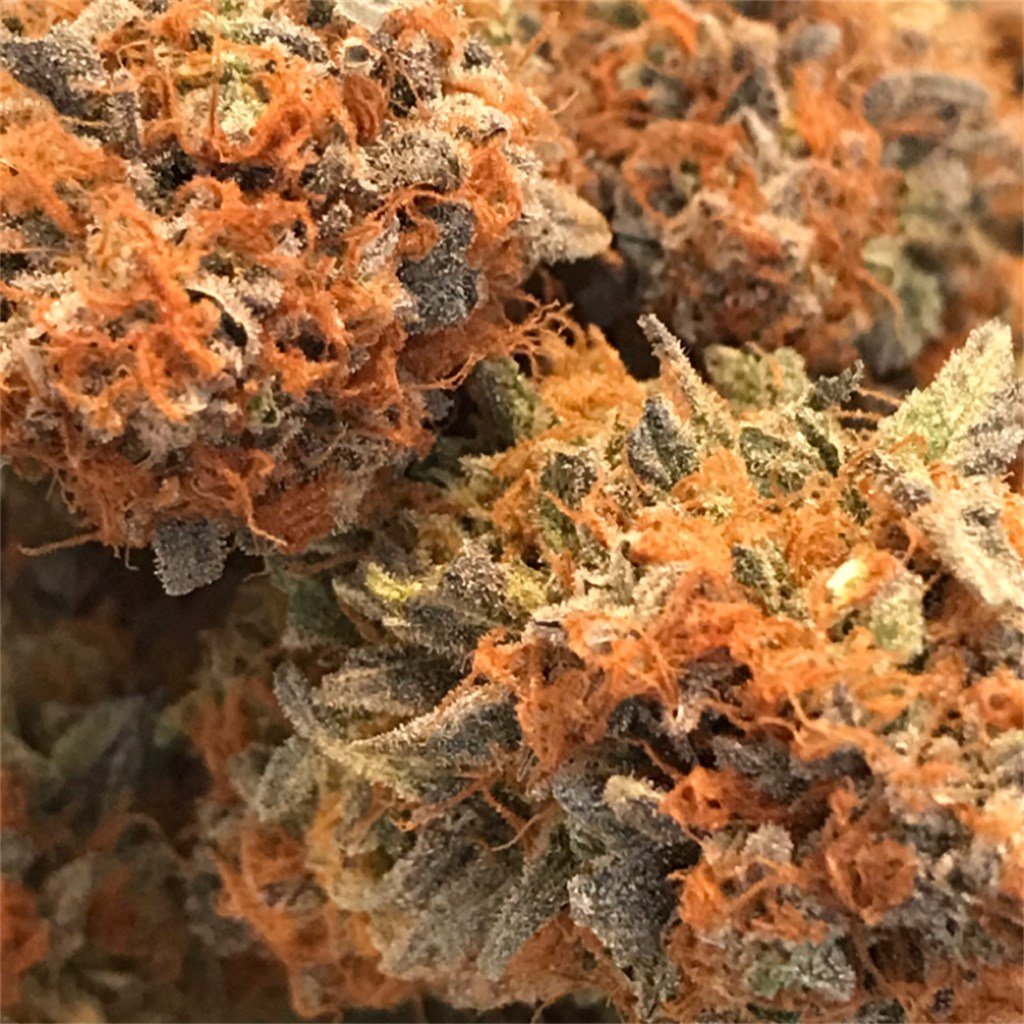 Cannatonic Marijuana Strain - Goodflowerdispensary